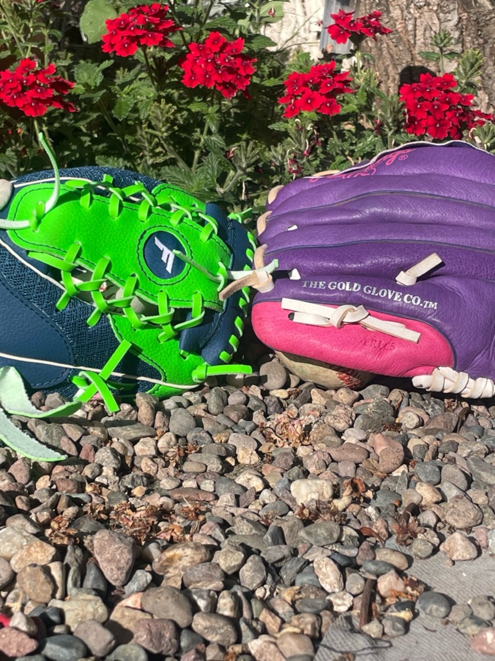 The Gold Glove Co. Kids Purple and Pink Baseball Glove with Green Accent